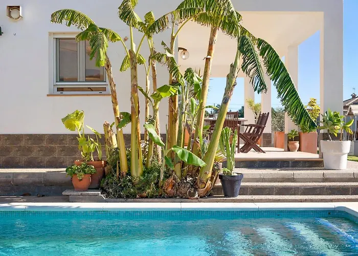 Fernando Conil De La Frontera